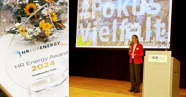 Fokus Vielfalt Preis Teaser HR Energy Award